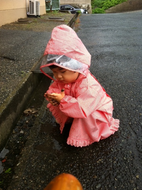 雨の日の幼児