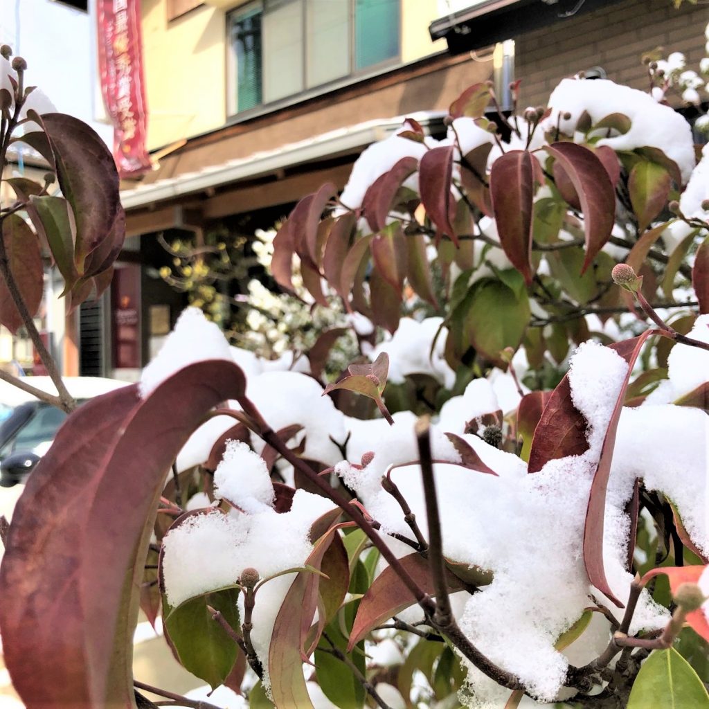 雪の竹野内建設