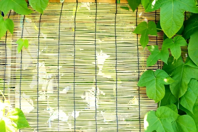 西日対策、していますか?